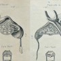 DUC_VO_PL255_F510 - Articles pour selleries ou écuries - Image3 DUC_VO_PL255_F510 - Articles pour selleries ou écuries - Image3