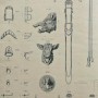 DUC_VO_PL255_F510 - Articles pour selleries ou écuries - Image4 DUC_VO_PL255_F510 - Articles pour selleries ou écuries - Image4