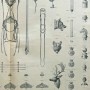 DUC_VO_PL255_F510 - Articles pour selleries ou écuries - Image5 DUC_VO_PL255_F510 - Articles pour selleries ou écuries - Image5