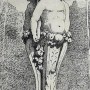 DUC_VO_PL382_F299 - Fontaine n° 12369 - Image3