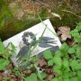 Cimetière - Melecey - Image2